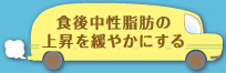 食後中性脂肪の上昇を緩やかにする