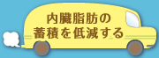 内臓脂肪の蓄積を低減する