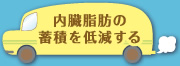 内臓脂肪の蓄積を低減する