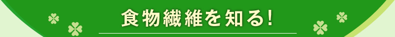 食物繊維を知る!