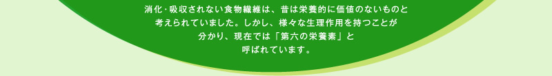 消化・吸収されない食物繊維は、昔は栄養的に価値のないものと考えられていました。しかし、様々な生理作用を持つことが分かり、現在では「第六の栄養素」と呼ばれています。