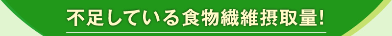 体に必要な食物繊維