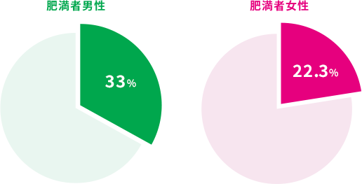 肥満者男性 肥満者女性 グラフ