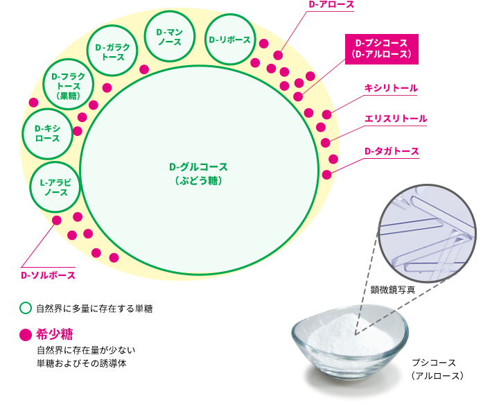 自然界の軸の存在比イメージ