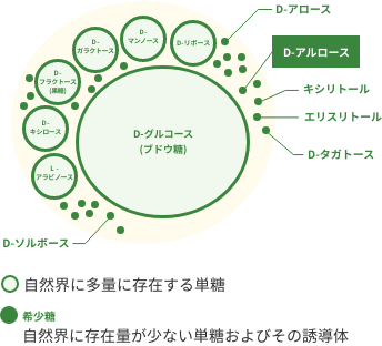 図説