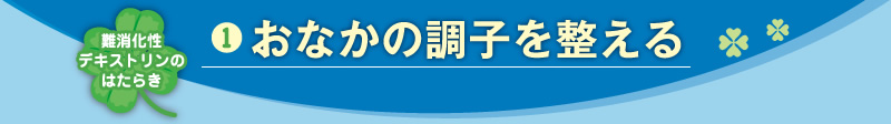 難消化性デキストリンとは？