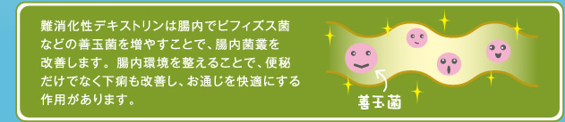 難消化性デキストリンは腸内でビフィズス菌などの善玉菌を増やすことで、腸内菌叢を改善します。腸内環境を整えることで、便秘だけでなく下痢も改善し、お通じを快適にする作用があります。