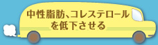 中性脂肪、コレステロールを低下させる