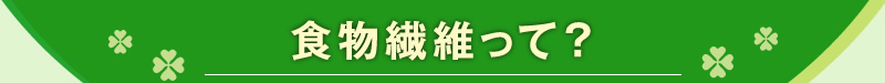食物繊維って?