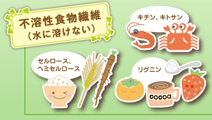 不溶性食物繊維（水に溶けない）